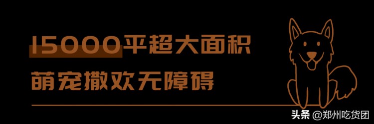 15000平的宠物生态园来了！寄养训练样样行！还有超多萌宠等你撸