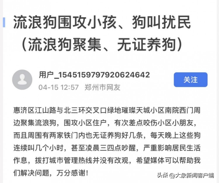 大象帮丨网友求助小区附近流浪狗扰民记者联合公益组织现场救助