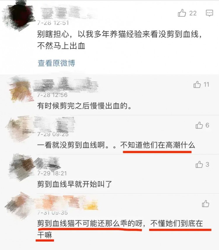 不就是给猫剪个指甲吗至于那么矫情吗