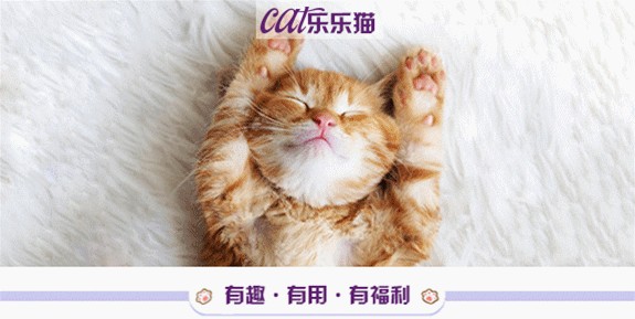 嘘，别让猫咪知道，悄悄告诉你关于它们的10个小秘密