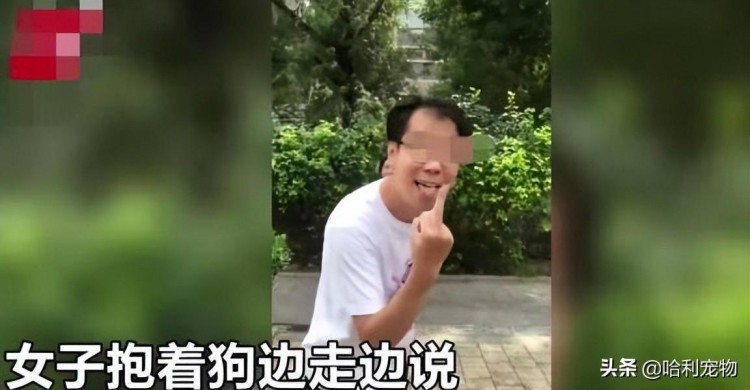 小区内遛狗该不该拴绳北京一对男女被斥责后竖起中指：被咬活该